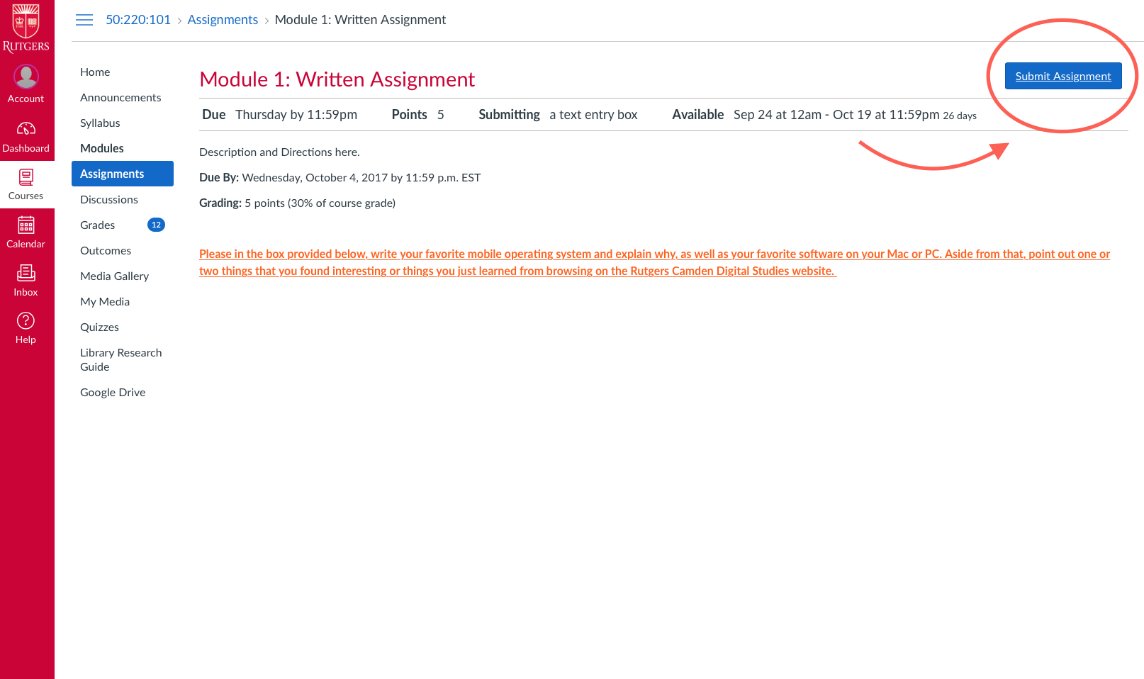 how to verify assignment submission on canvas